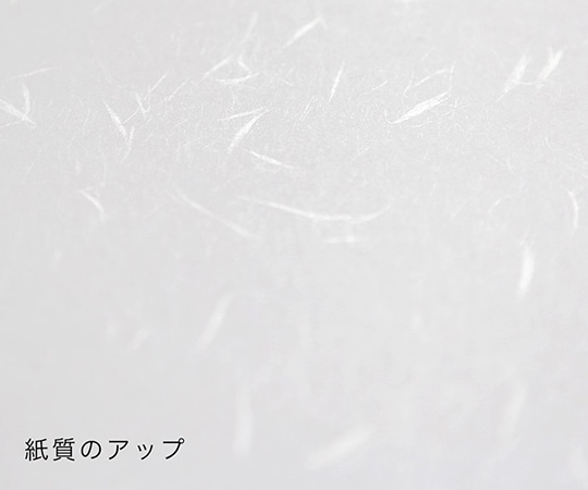 大直 厚口 大直礼状紙 A4 500枚入206020002 1パック (ご注文単位1パック) 【直送品】