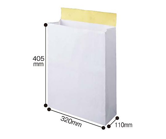 伊藤忠紙パルプ 宅配袋 白 大 25枚PB08001 1パック (ご注文単位1パック) 【直送品】