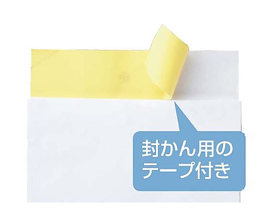 伊藤忠紙パルプ 宅配袋 白 大 25枚PB08001 1パック (ご注文単位1パック) 【直送品】