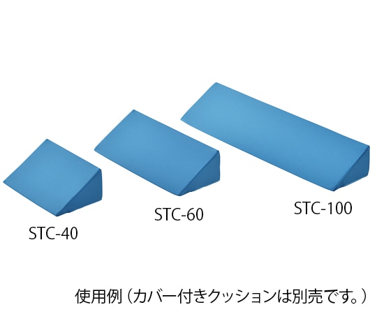 アズワン 体位固定クッション 600mm用 交換カバー 1枚 (ご注文単位1枚) 【直送品】