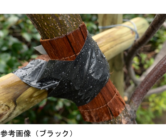 アサヒペン パワーテープ 10m (ホワイト) T102 1個 (ご注文単位1個) 【直送品】