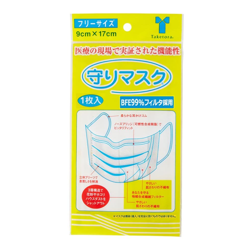 竹虎 守りマスク フリー 100枚入076010 1ケース (ご注文単位1ケース) 【直送品】