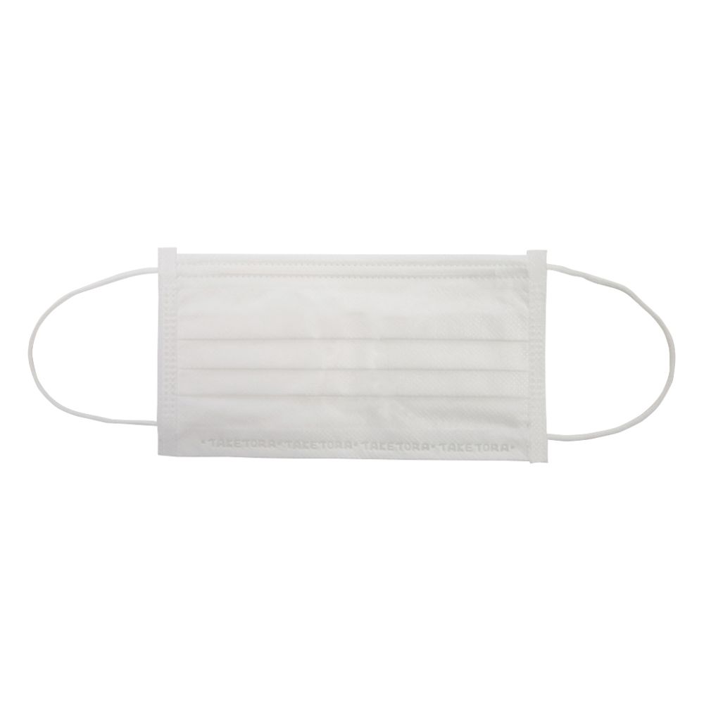 竹虎 守りマスク フリー 100枚入076010 1ケース (ご注文単位1ケース) 【直送品】