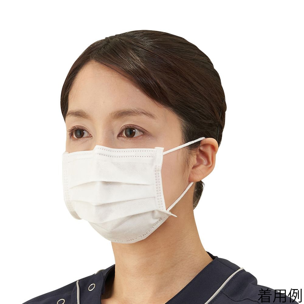 竹虎 守りマスク フリー 100枚入076010 1ケース (ご注文単位1ケース) 【直送品】