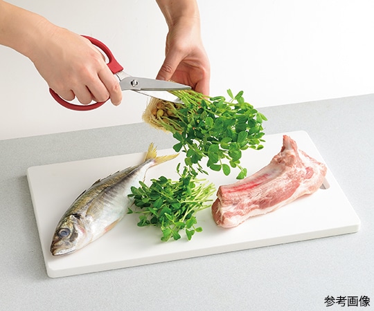 江部松商事 EBM ステンレス セレクトキッチンバサミ レッド0195520 1個 (ご注文単位1個) 【直送品】