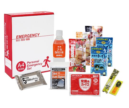 アズワン 1DAY災害対策11点セットSB30 1個 (ご注文単位1個) 【直送品】