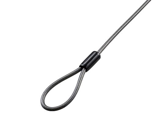 エレコム セキュリティワイヤー マルチスロット対応 (3×7mm・2.5×6mm・3.2×4.5mm) シリンダー錠 アジャストツール付きESL-704 1個 (ご注文単位1個) 【直送品】