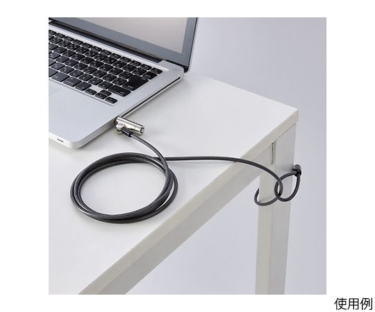 エレコム セキュリティワイヤー マルチスロット対応 (3×7mm・2.5×6mm・3.2×4.5mm) シリンダー錠 アジャストツール付きESL-704 1個 (ご注文単位1個) 【直送品】