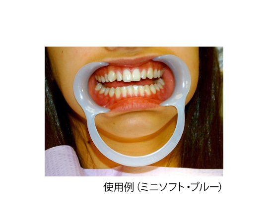 ザイコアインターナショナル オーラルワイダー ソフト ブルー 2個入 1箱 (ご注文単位1箱) 【直送品】