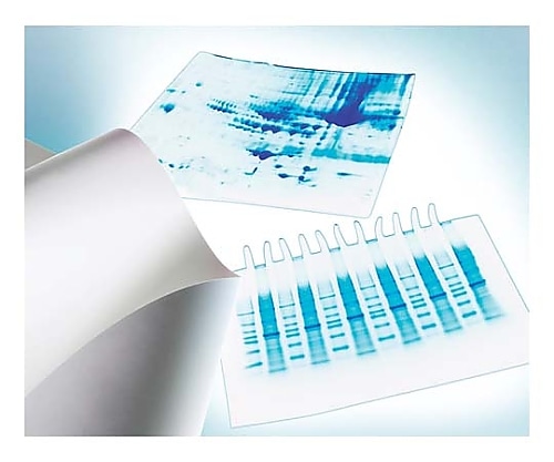 Merck Immobilon-P PVDF 0.45μm 26.5cmx3.75m roll 1/Pk 1PKIPVH00010 1個 (ご注文単位1個) 【直送品】