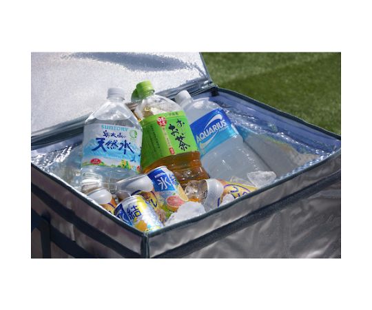 アズワン 超保冷クーラーBOX 面ファスナータイプ 35LTCB-35 1個 (ご注文単位1個) 【直送品】