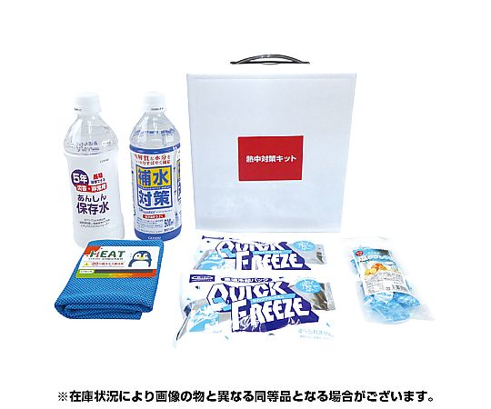 ブレイン 熱中対策キットミニ (MINI) BR-560 1個 (ご注文単位1個) 【直送品】