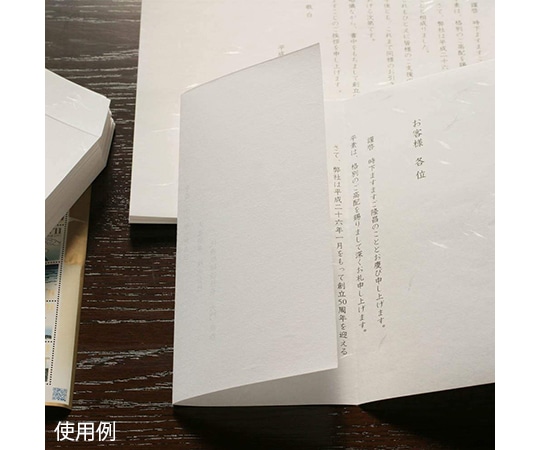 大直 厚口 大直礼状紙 A4 100枚入205003004 1パック (ご注文単位1パック) 【直送品】