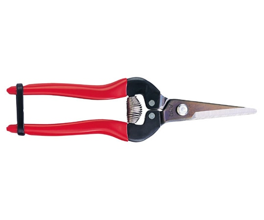 アルスコーポレーション 摘果鋏 ロング ステンレスタイプ300L-DX-BP 1個 (ご注文単位1個) 【直送品】