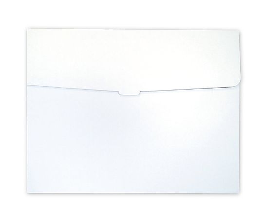 アーテック 新 作品収納ケース 大 白無地11141 1箱 (ご注文単位1箱) 【直送品】