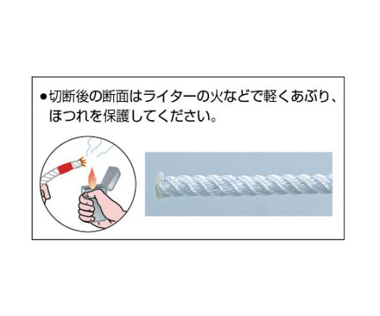アズワン ナイロンロープ 3つ打 線径6mmX長さ10mR-610N 1巻 (ご注文単位1巻) 【直送品】