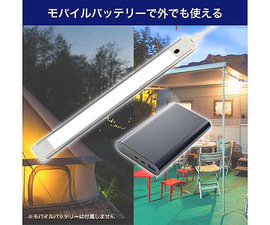 ELPA LED多目的灯 USBタイプ プッシュスイッチ 昼光色ALT-USB2030PS (D) 1個 (ご注文単位1個) 【直送品】