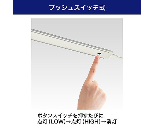 ELPA LED多目的灯 USBタイプ プッシュスイッチ 昼光色ALT-USB2030PS (D) 1個 (ご注文単位1個) 【直送品】