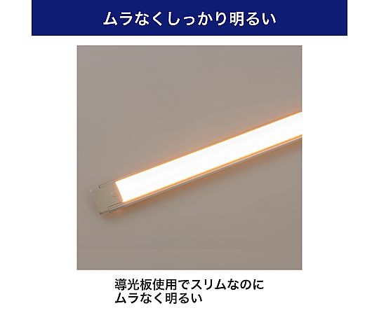 ELPA LED多目的灯 USBタイプ プッシュスイッチ 電球色ALT-USB2030PS (L) 1個 (ご注文単位1個) 【直送品】