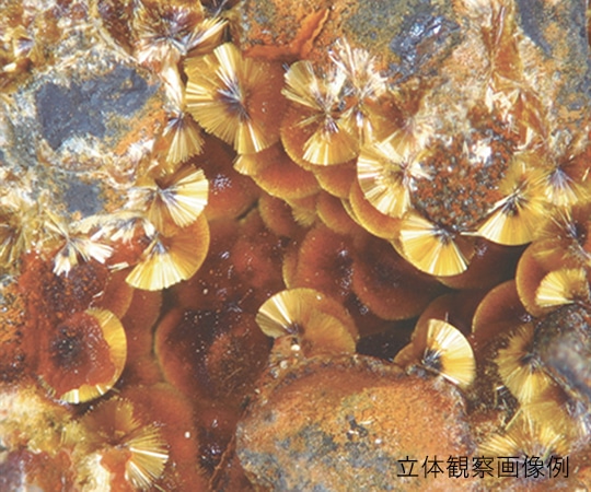 アズワン LEDズーム実体顕微鏡 三眼 7.5~50×SZM223T 1個 (ご注文単位1個) 【直送品】