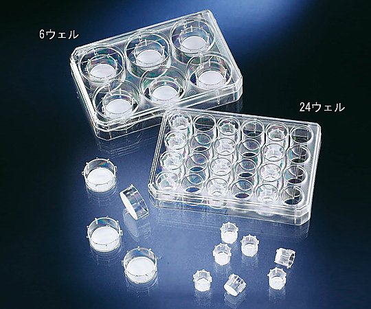 Nalge Nunc (サーモフィッシャーサイエンティフィック) セルカルチャーインサート 1箱 (6個×4袋入) 140640 1箱 (ご注文単位1箱) 【直送品】