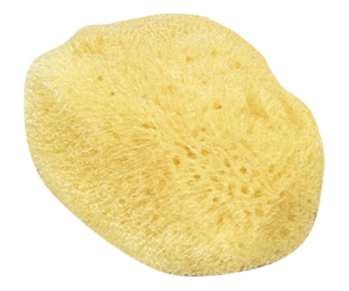 クラウン 天然海綿 大CR-SG250-AM 1個 (ご注文単位1個) 【直送品】