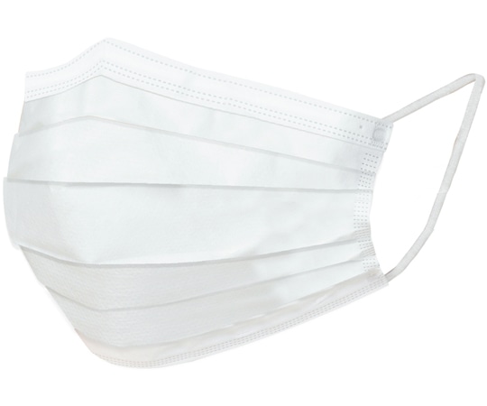 小野商事 不織布3層マスク レギュラーサイズ 50枚入WS7001 1箱 (ご注文単位1箱) 【直送品】