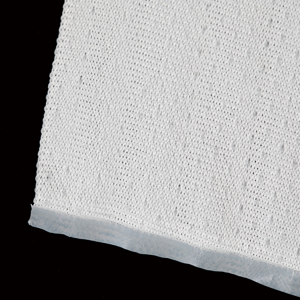 Berkshire クリーンルームワイパー 230×230mm γ線滅菌済 1袋 (50枚入) DR67009IR120P 1袋 (ご注文単位1袋) 【直送品】