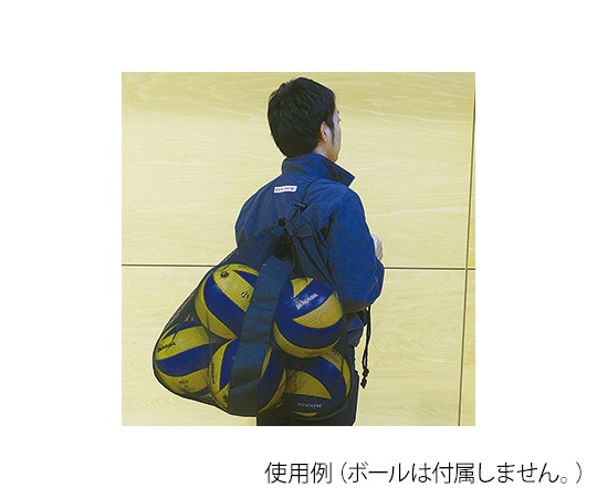 エバニュー メッシュボールケースEKD903 1枚 (ご注文単位1枚) 【直送品】