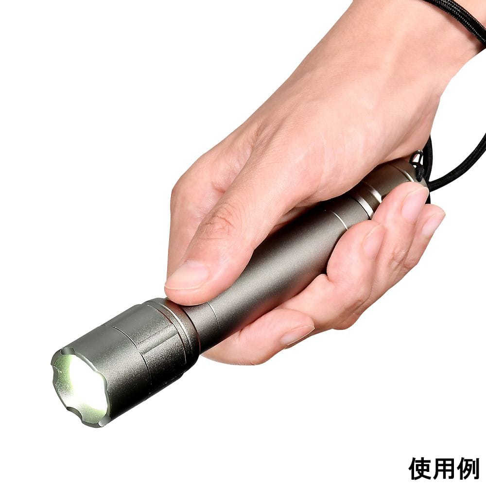 ELPA LEDアルミライトDOP-EP420 1個 (ご注文単位1個) 【直送品】