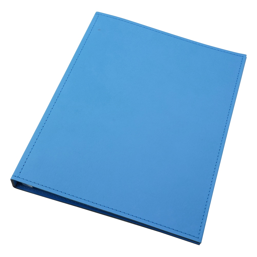 LIHITLAB カルテブック A4・4穴・スタンダード ライトブルーCY4-4L 1冊 (ご注文単位1冊) 【直送品】