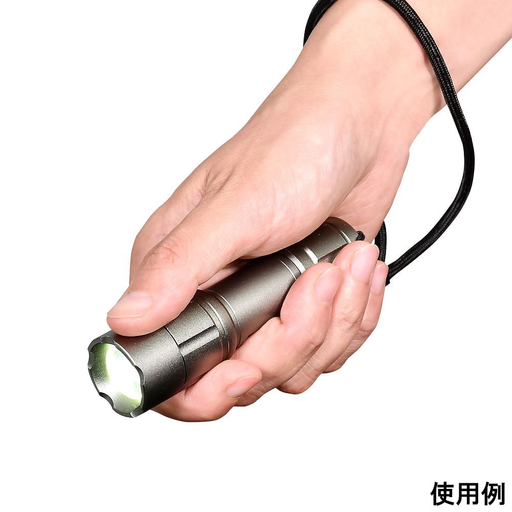 ELPA LEDアルミライトDOP-EP410 1個 (ご注文単位1個) 【直送品】