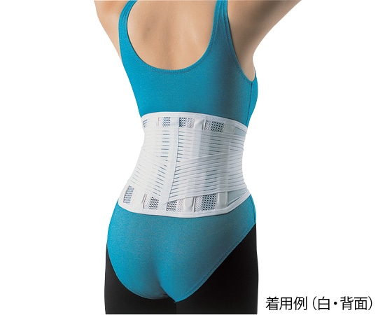 アズワン 楽らく腰ガード［ソルボ］ レギュラー L 白63328 1個 (ご注文単位1個) 【直送品】