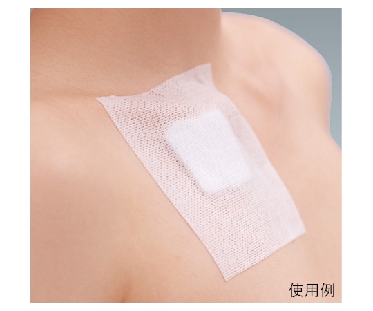 アルケア (小分け) シルキーポア 1.25cm×10m (4巻入) 11921 1号 1パック (ご注文単位1パック) 【直送品】