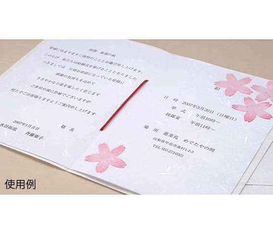 大直 大礼紙 白 A3 50枚入206070101 1パック (ご注文単位1パック) 【直送品】