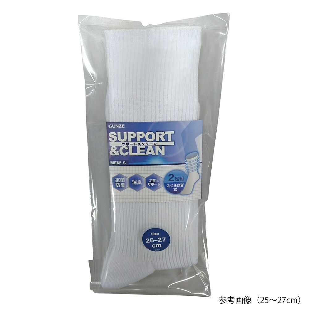 グンゼ (肌着) 2足組紳士ソックス 24～26cmFE0102 1セット (ご注文単位1セット) 【直送品】