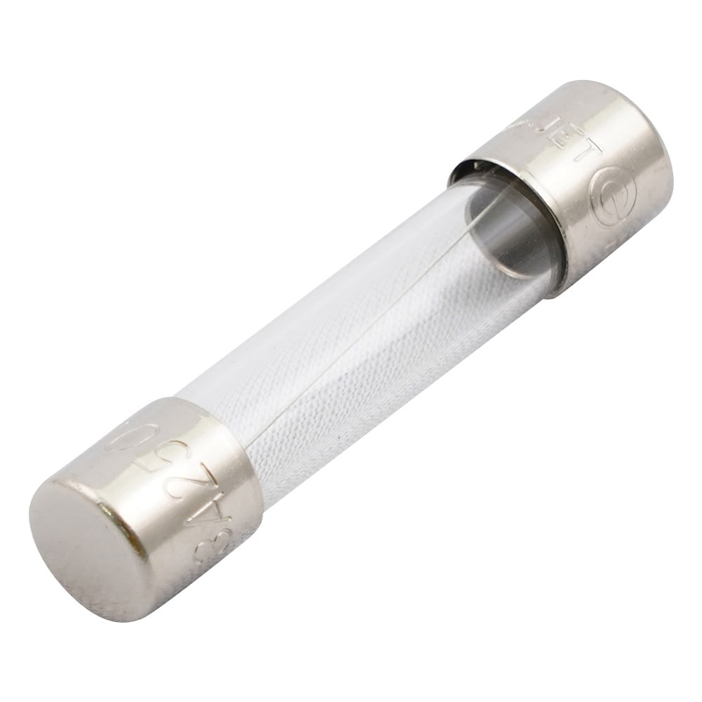 ELPA ガラス管ヒューズ φ6.35×30mm 2個入TF-2030H 1袋 (ご注文単位1袋) 【直送品】