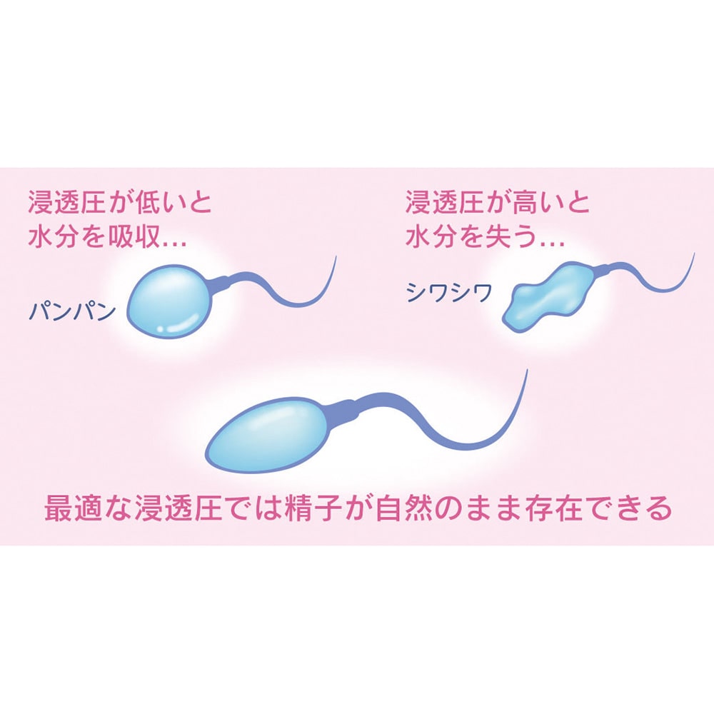 相模ゴム工業 ポジティブサポート 1本 (ご注文単位1本) 【直送品】