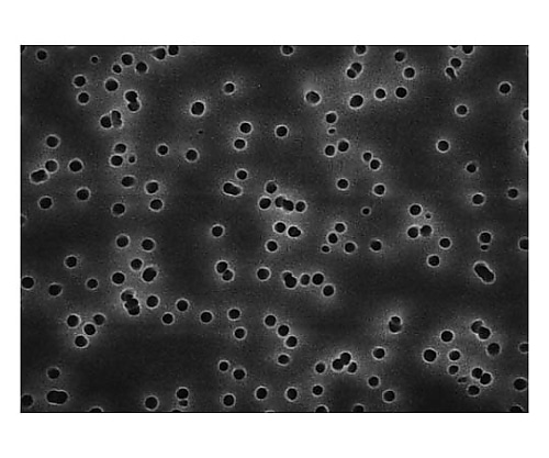 Merck Isopore disc PC philic 3.0μm 47mm wh pln 100/Pk 100PKTSTP04700 1箱 (ご注文単位1箱) 【直送品】