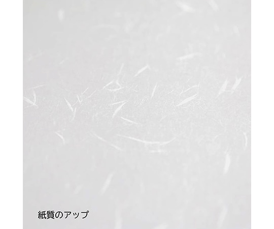 大直 大直礼状紙 A4用洋長3封筒 50枚入205003010 1セット (ご注文単位1セット) 【直送品】