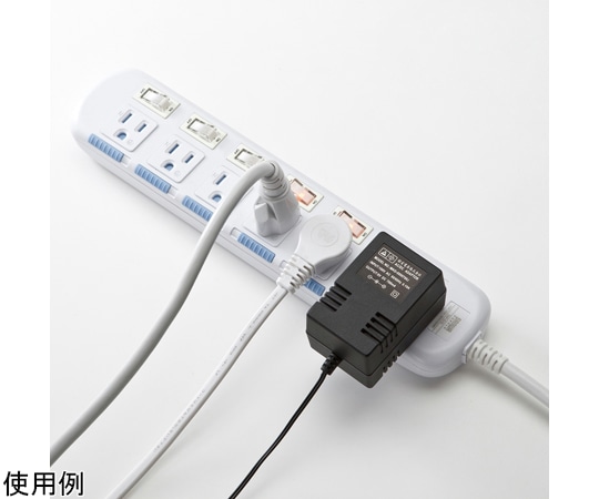 サンワサプライ 省エネタップTAP-S10N2-2 1セット (ご注文単位1セット) 【直送品】