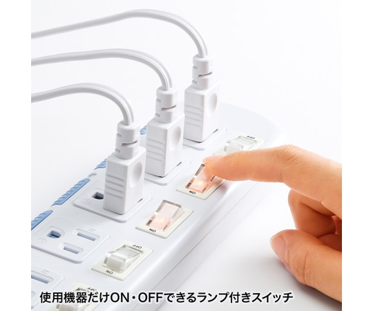 サンワサプライ 省エネタップTAP-S10N2-2 1セット (ご注文単位1セット) 【直送品】