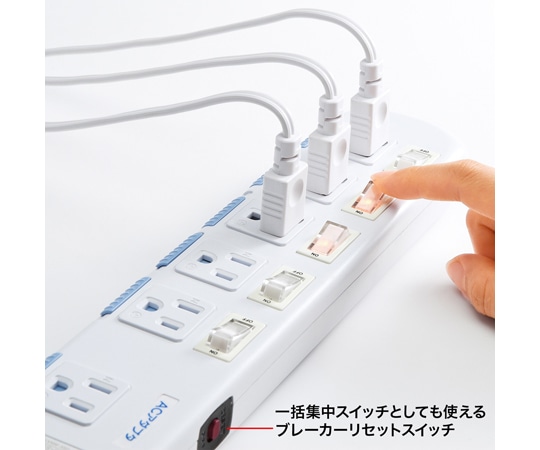 サンワサプライ 省エネタップTAP-S10N2-2 1セット (ご注文単位1セット) 【直送品】