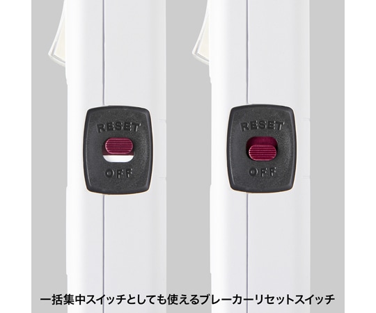 サンワサプライ 省エネタップTAP-S10N2-2 1セット (ご注文単位1セット) 【直送品】