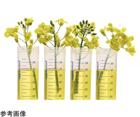 エッペンドルフ エッペンドルフチューブ BioBased 5.0mL スクリューキャップ Sterile 100本×2袋入0030122518 1箱 (ご注文単位1箱) 【直送品】