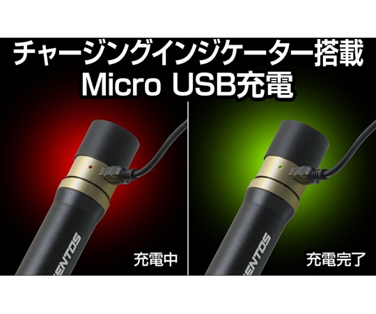 ジェントス REXEEDシリーズ LEDフラッシュライト USB充電式 900ルーメンRX-386R 1個 (ご注文単位1個) 【直送品】