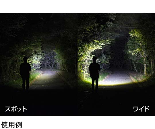 ジェントス REXEEDシリーズ LEDフラッシュライト USB充電式 900ルーメンRX-386R 1個 (ご注文単位1個) 【直送品】