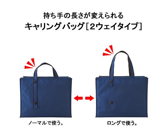 LIHITLAB キャリングバッグ 2ウェイタイプ ワイドA-7651-11N 1冊 (ご注文単位1冊) 【直送品】