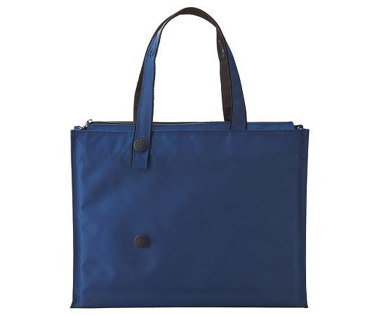 LIHITLAB キャリングバッグ 2ウェイタイプ ワイドA-7651-11N 1冊 (ご注文単位1冊) 【直送品】