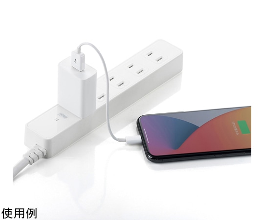 サンワサプライ USB充電器 (1A・ホワイト) ACA-IP86W 1セット (ご注文単位1セット) 【直送品】